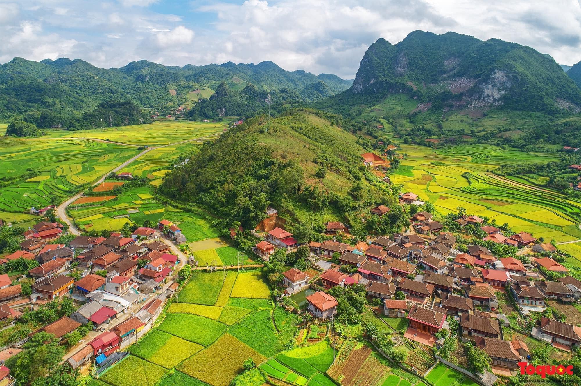 Hoạt động